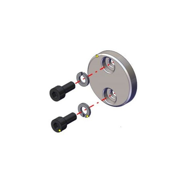 Hub Disc for Smart Sweeper DN50